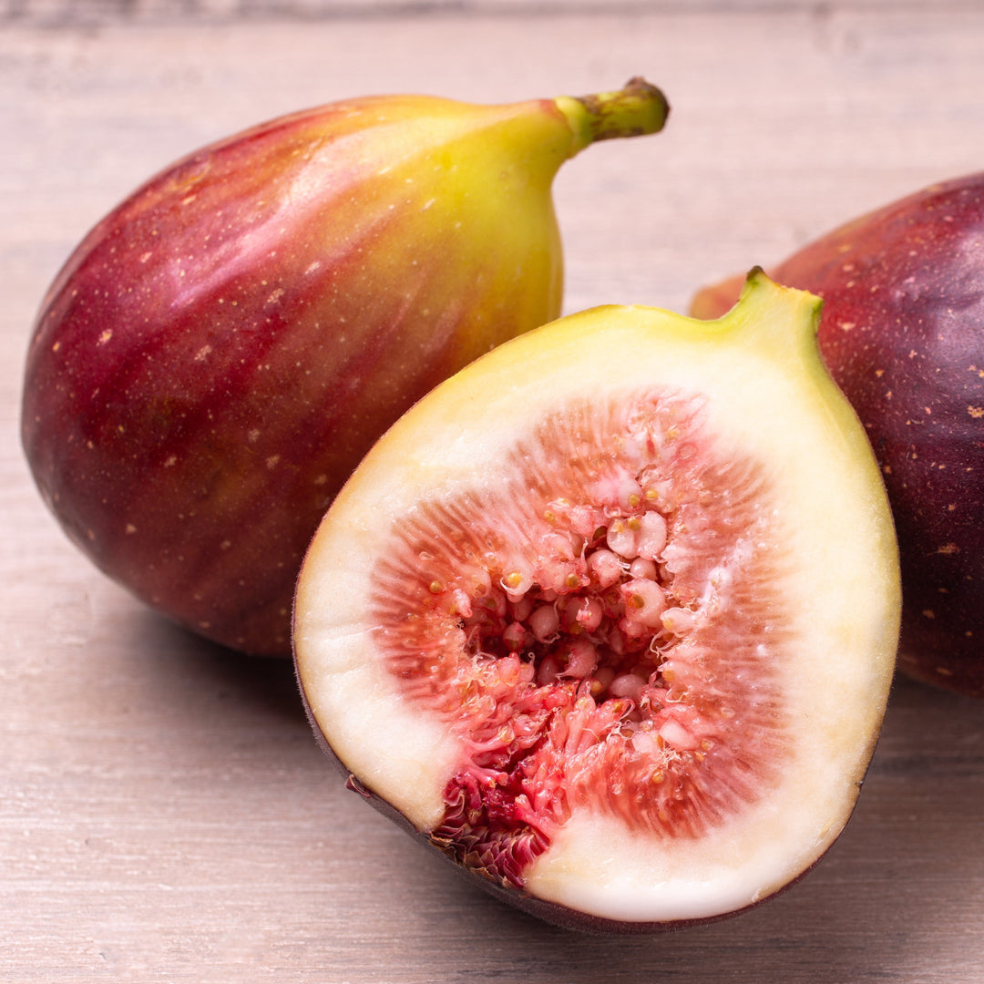 Ficus carica 'Italian Everbearing'  - Italian Everbearing Fig