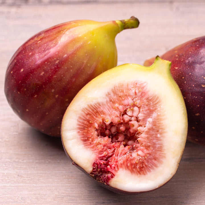 Ficus carica 'Italian Everbearing'  - Italian Everbearing Fig