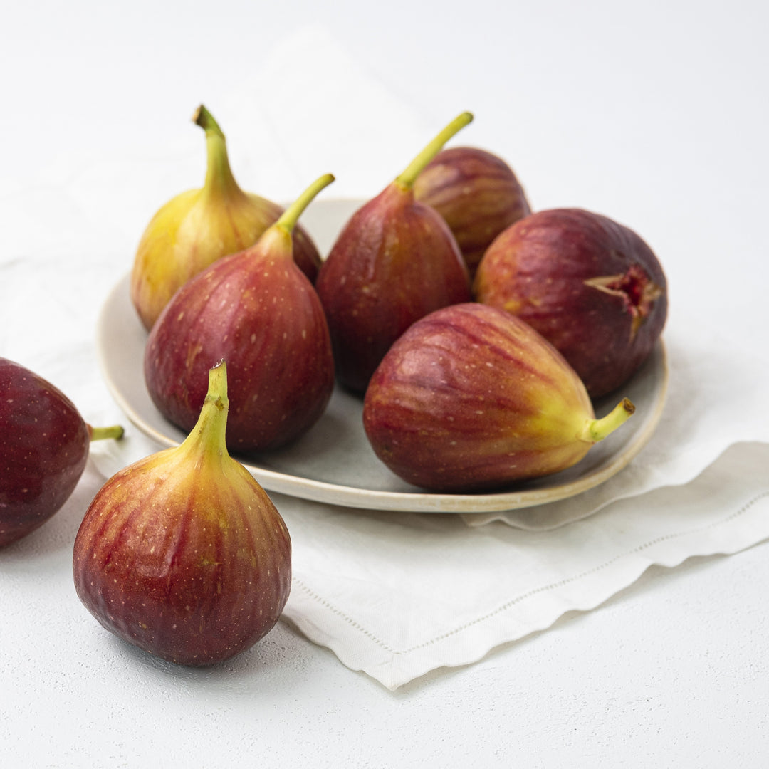 Ficus carica 'Italian Everbearing'  - Italian Everbearing Fig