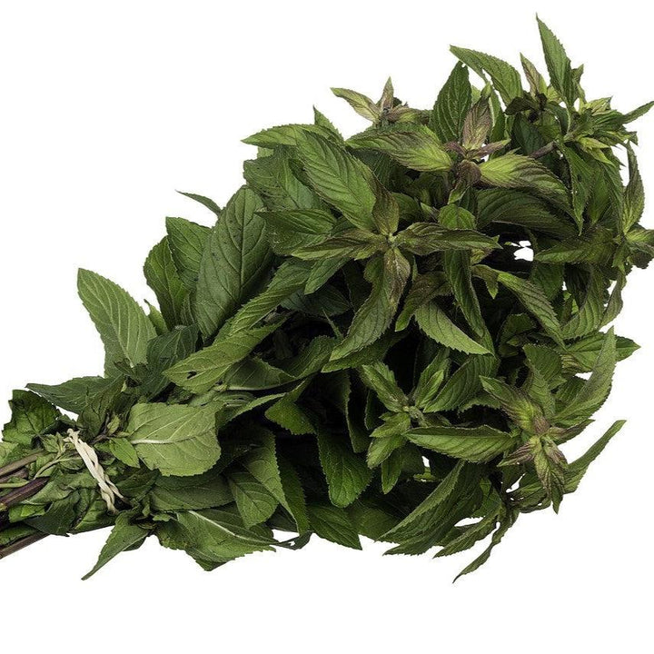 Mentha x piperita 'Chocolate'  - Chocolate Mint